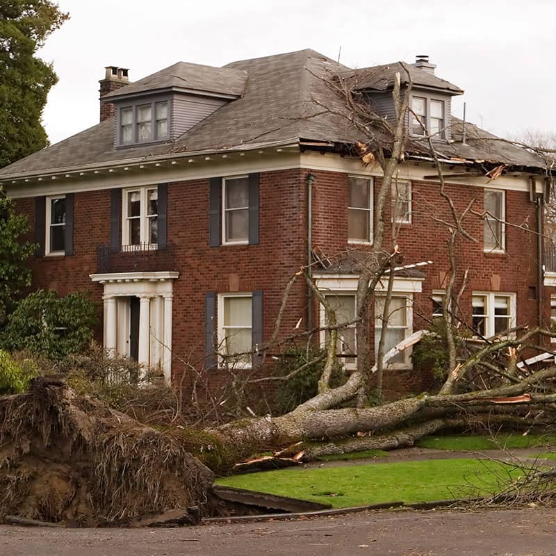 johnson-city-storm-damage-repairs